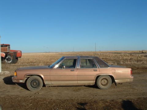 1988 Ford F-150 photo
