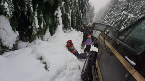1984 Ford Bronco - Two vehicles are stuck in the snow on a forest road, with people standing nearby.