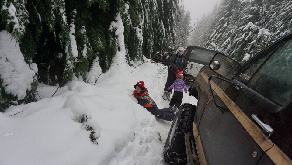 Brown Ford Bronco with tan stripe, off-road tires, parked on a snowy forest road next to a white Jeep
