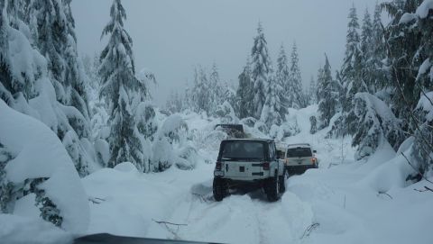 1984 Ford Bronco - Several Jeep Wranglers navigate a snowy path through a dense forest, with heavy snow blanketing the trees and ground.