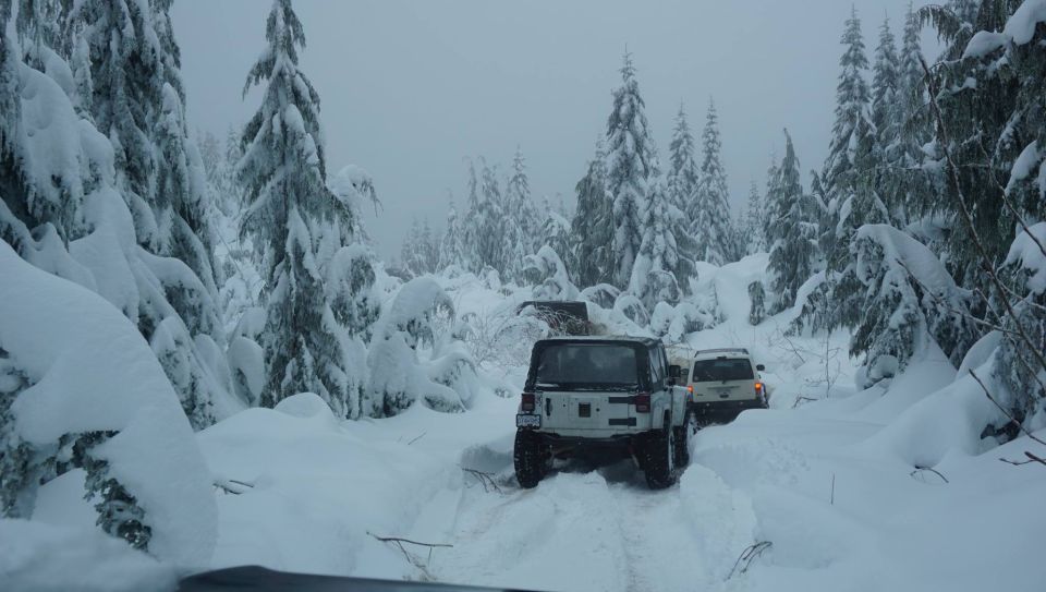 White Jeep Wrangler driving on a snow-covered forest trail with other vehicles behind