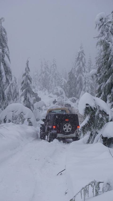 1984 Ford Bronco - Two vehicles navigate a snowy path through a forest during a snowstorm.