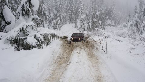 1984 Ford Bronco - A Jeep Wrangler navigates a snow-covered trail through a winter forest.