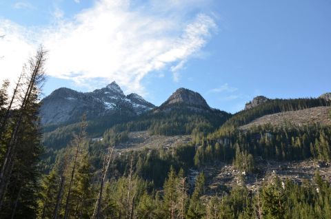 1984 Ford Bronco - A vast mountain landscape shows snow-capped peaks, dense evergreen forests, and evidence of logging on the slopes.