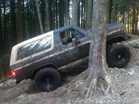 1984 Ford Bronco - A heavily muddied Ford Bronco maneuvers through a dense forest, its tires gripping the uneven terrain.