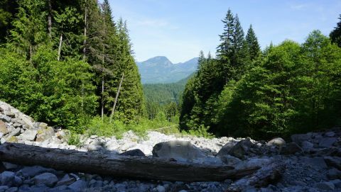 1984 Ford Bronco - A vast forest landscape unfolds, with a rocky riverbed in the foreground leading to distant mountains.