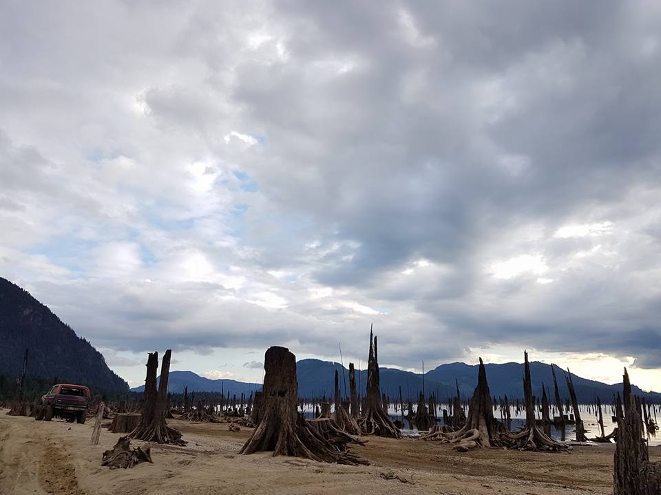 Red SUV parked on a dirt road next to a lake with dead trees