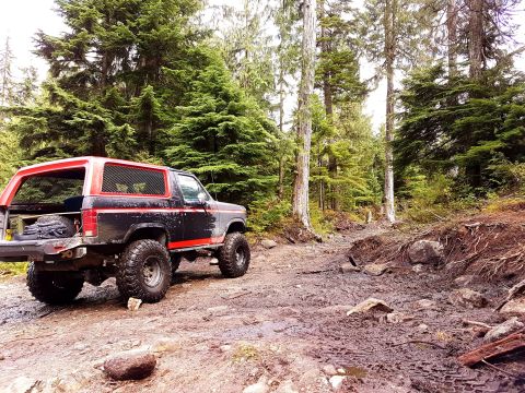 1984 Ford Bronco - Off-road Bronco navigates a challenging, muddy path through a dense forest.