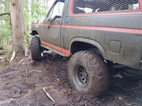 1984 Ford Bronco - Off-road vehicle with large tires stuck in mud, side view. Red stripe along the body.