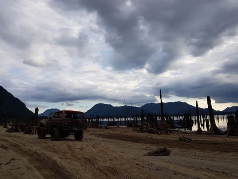 1984 Ford Bronco - An off-road vehicle sits on a dusty track, surrounded by the eerie landscape of dead trees and a cloudy sky.