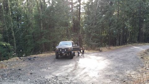 1984 Ford Bronco - A black SUV with off-road modifications is parked on a dirt road in a wooded area, with its driver's side door open.