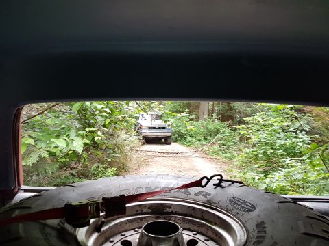 1984 Ford Bronco - Looking out from the back of a vehicle at another truck on a wooded path.