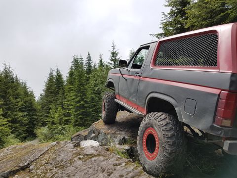 1984 Ford Bronco - This 1984 Ford Bronco is shown off-road with its large tires and red trim against a backdrop of pine trees.