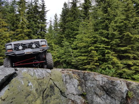 1984 Ford Bronco - Off-road Bronco perched on a rocky outcrop with dense evergreen forest behind it.