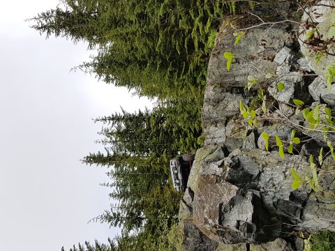 1984 Ford Bronco - A vehicle is positioned on a rocky outcrop, surrounded by dense forest and overcast skies.
