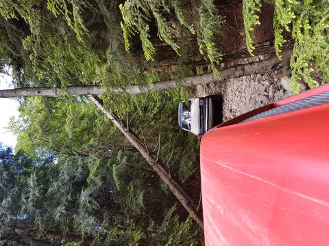 1984 Ford Bronco - A white SUV is parked on a gravel road surrounded by trees, viewed from the side of a red vehicle.