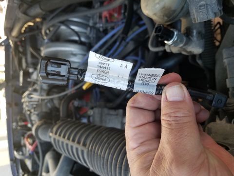 1994 Ford Bronco - A Ford wiring harness with part number 14A411 is held in front of an engine bay.