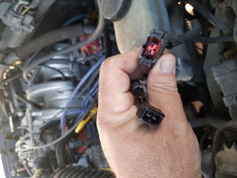 1994 Ford Bronco - Close-up of a hand holding engine wiring harness connectors.