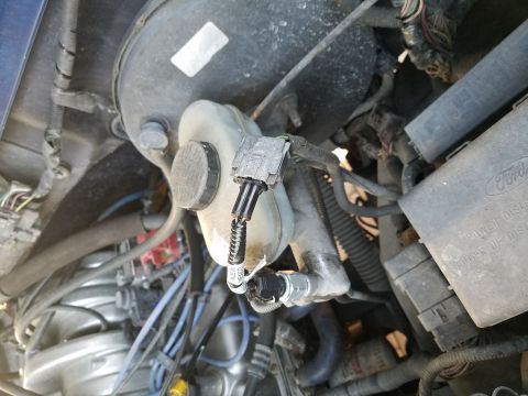 1994 Ford Bronco - The brake fluid reservoir and master cylinder assembly are visible, with electrical connectors and hoses attached.