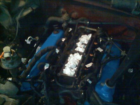 1989 Ford Bronco - Engine bay with blue valve covers and intake ports covered with white rags.