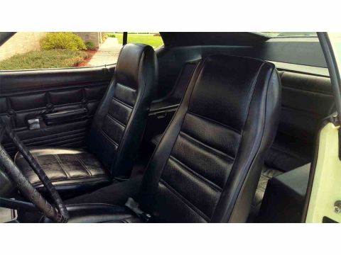 1971 Ford Mustang - Interior view of a classic car, showing the front seats and door panel.