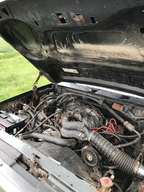 1992 Ford Bronco - Engine bay of a 1992 Ford Bronco, showing the engine, battery, and various hoses and wires.