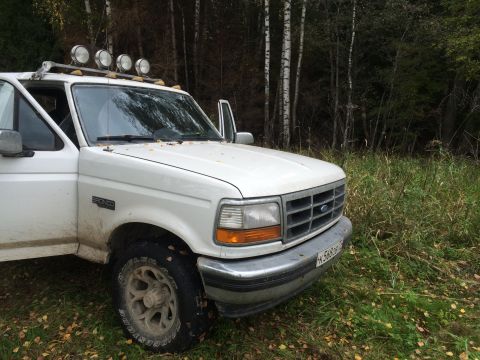 1993 Ford Bronco - A white 1993 Ford Bronco is parked in a grassy, wooded area with its driver's door open.