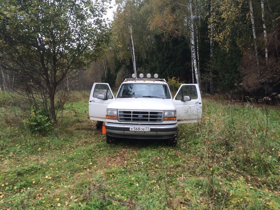 White Ford F-Series truck with doors open, parked in a grassy, wooded area