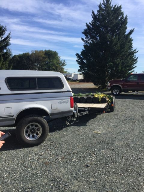 1985 Ford F-350 “Fummins”