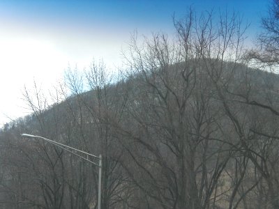 1997 Ford Taurus - A winter landscape a bare-branched forest and a distant hill, with the Supermotors logo in the lower right corner.