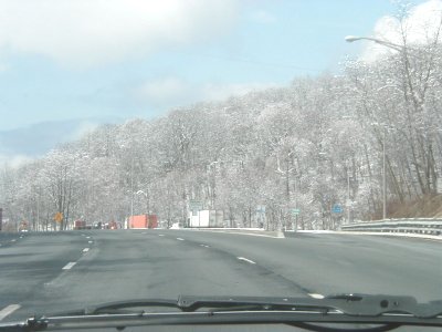 1997 Ford Taurus - Driving on a highway with snow-covered trees lining the road under a partly cloudy sky.