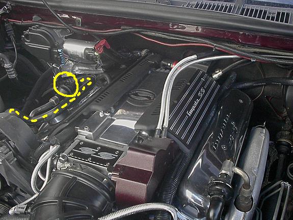 Engine bay with "Impala SS" valve covers and a yellow circle highlighting a hose connection