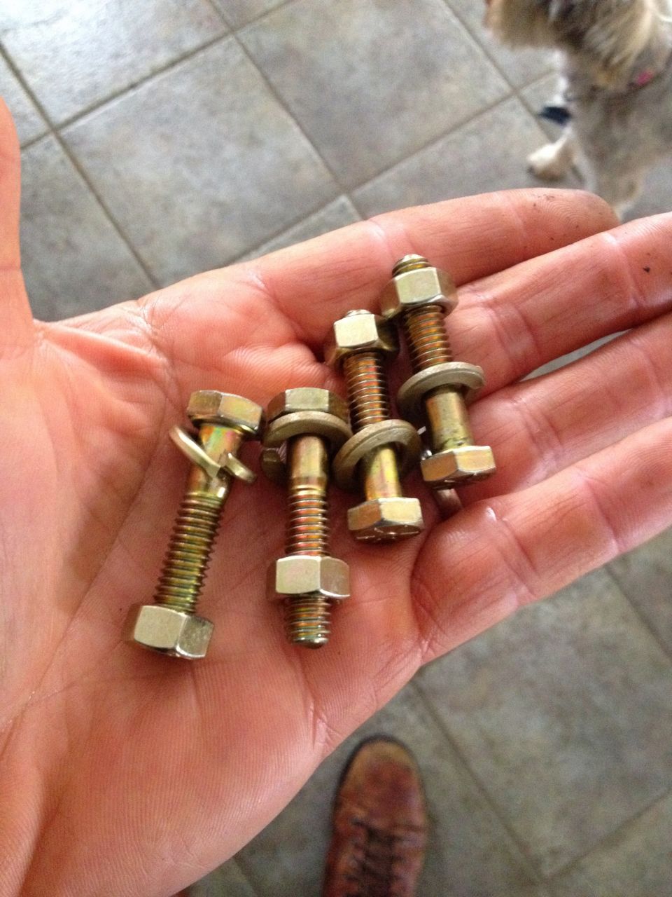 Hand holding four gold-colored bolts with nuts and washers, one with a cotter pin