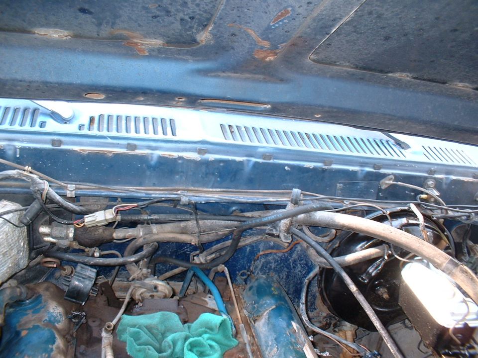 Engine bay with blue paint and visible hoses and wiring