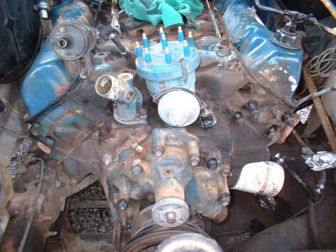 1978 Ford F-250 - Close-up of an engine block, showing the distributor, spark plug wires, and oil filter.