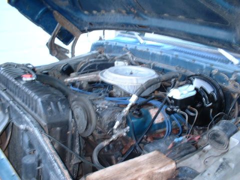 1978 Ford F-250 - The engine bay of a blue 1978 Ford F-250 is visible with the hood raised, revealing the V8 engine components and radiator.