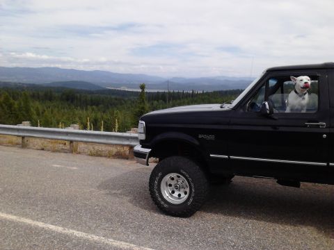 1995 Ford Bronco