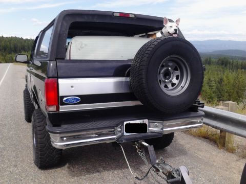 1995 Ford Bronco