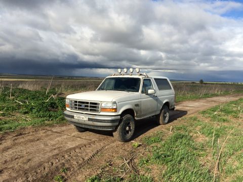 1993 Ford Bronco - A white 1990s Ford Bronco is parked on a dirt road in a grassy field under a dramatic, cloudy sky. The SUV has four auxiliary lights mounte…