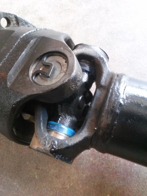 1996 Ford Bronco - Close-up view of a U-joint on a driveshaft, featuring a black metal yoke with a visible retaining clip and a blue dust seal.