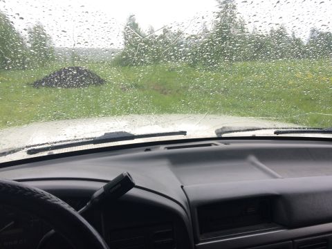 1993 Ford Bronco - View from the interior of a vehicle looking through a rain-covered windshield at a grassy field with trees in the background. A pile of dar…