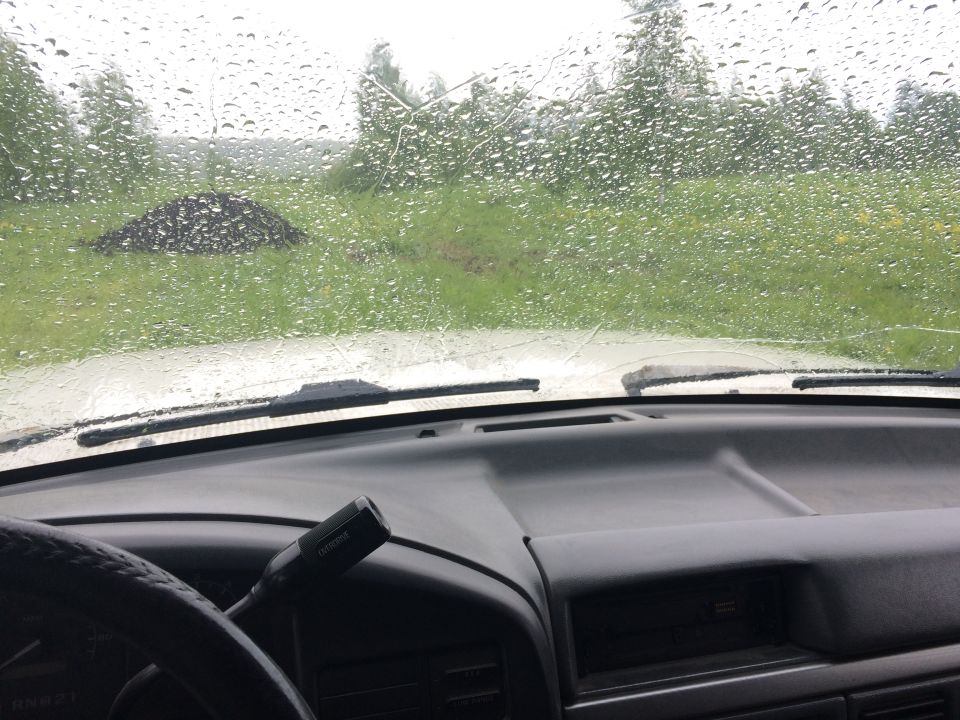 Interior view through a rain-covered windshield of a grassy field with trees.