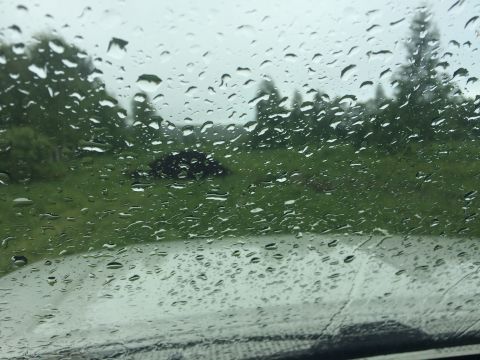 1993 Ford Bronco - View through a rain-streaked windshield of a green grassy field with trees in the background. The foreground shows the dashboard and windsh…