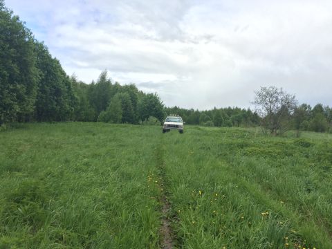 1993 Ford Bronco - A white 1993 Ford Bronco is parked in a grassy field with a treeline in the background under a cloudy sky.