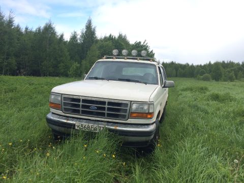 1993 Ford Bronco - A white 1993 Ford Bronco is parked in a grassy field with a line of trees in the background. The vehicle has four auxiliary lights mounted…