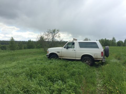 1993 Ford Bronco - A white Ford Bronco is parked in a grassy field with a forest in the background under a cloudy sky. The vehicle has a spare tire mounted on…
