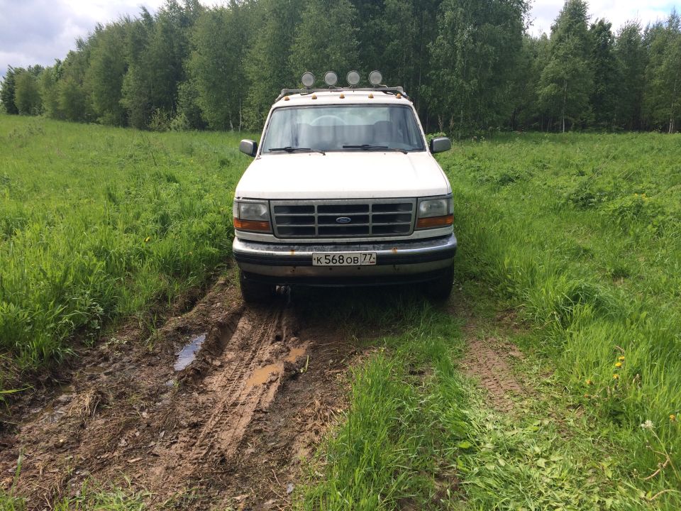 White Ford Bronco on a muddy road in a grassy field.