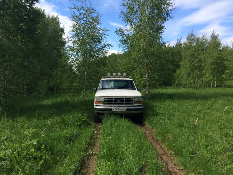 1993 Ford Bronco - A white Ford Bronco is parked on a dirt track surrounded by tall green grass and trees under a blue sky with scattered clouds.