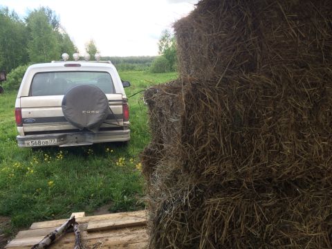 1993 Ford Bronco - The rear of a white Ford Bronco is parked in a grassy field next to a large stack of hay bales. The spare tire cover on the back of the SUV…