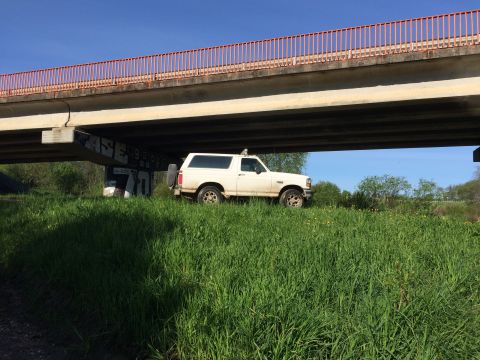 1993 Ford Bronco - A white Ford Bronco is parked under a concrete overpass with a red railing on top. The vehicle is surrounded by tall green grass and dandel…